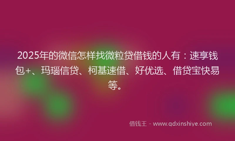 2025年的微信怎样找微粒贷借钱的人有：速享钱包+、玛瑙信贷、柯基速借、好优选、借贷宝快易等。