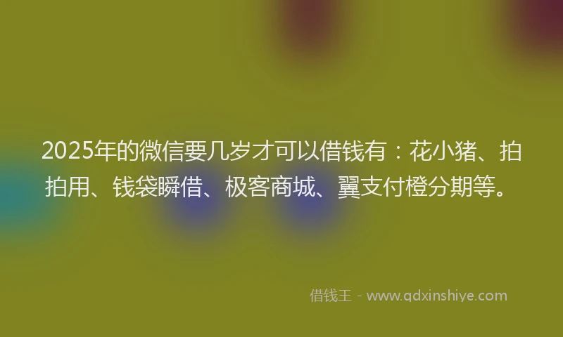 2025年的微信要几岁才可以借钱有：花小猪、拍拍用、钱袋瞬借、极客商城、翼支付橙分期等。