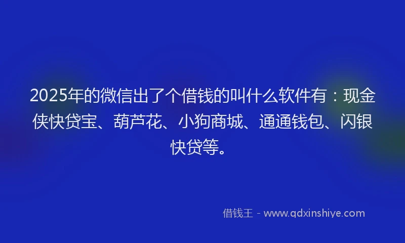2025年的微信出了个借钱的叫什么软件有：现金侠快贷宝、葫芦花、小狗商城、通通钱包、闪银快贷等。