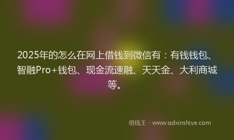 2025年的怎么在网上借钱到微信有：有钱钱包、智融Pro+钱包、现金流速融、天天金、大利商城等。
