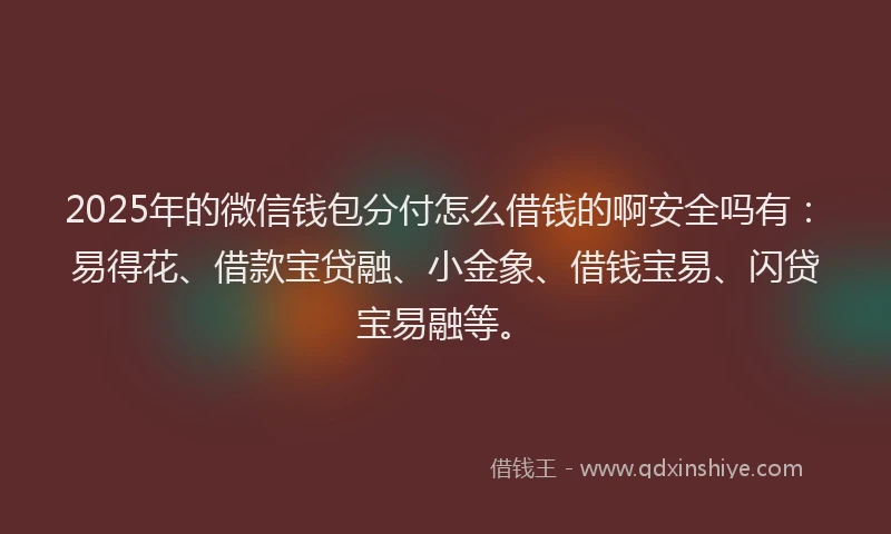 2025年的微信钱包分付怎么借钱的啊安全吗有：易得花、借款宝贷融、小金象、借钱宝易、闪贷宝易融等。