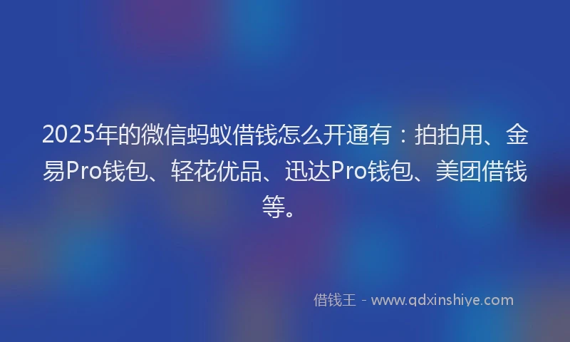 2025年的微信蚂蚁借钱怎么开通有：拍拍用、金易Pro钱包、轻花优品、迅达Pro钱包、美团借钱等。