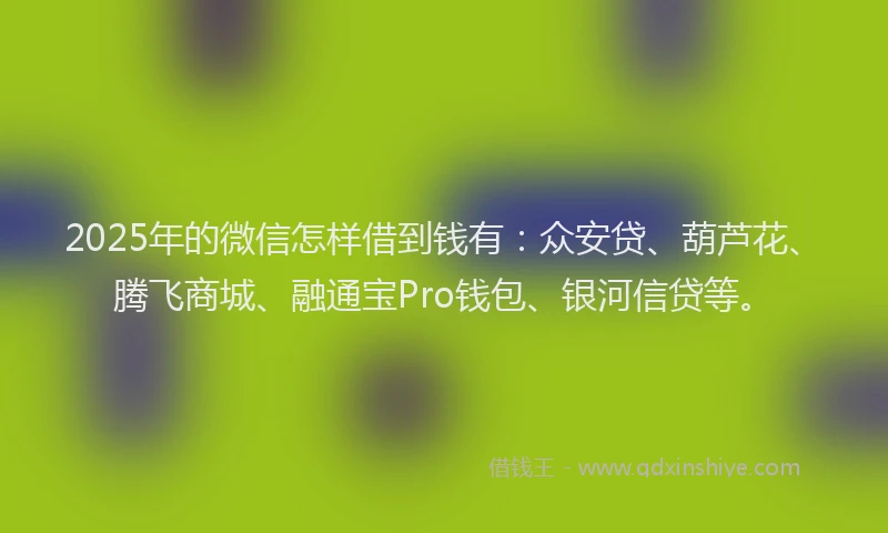 2025年的微信怎样借到钱有：众安贷、葫芦花、腾飞商城、融通宝Pro钱包、银河信贷等。