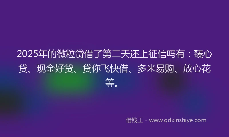 2025年的微粒贷借了第二天还上征信吗有：臻心贷、现金好贷、贷你飞快借、多米易购、放心花等。