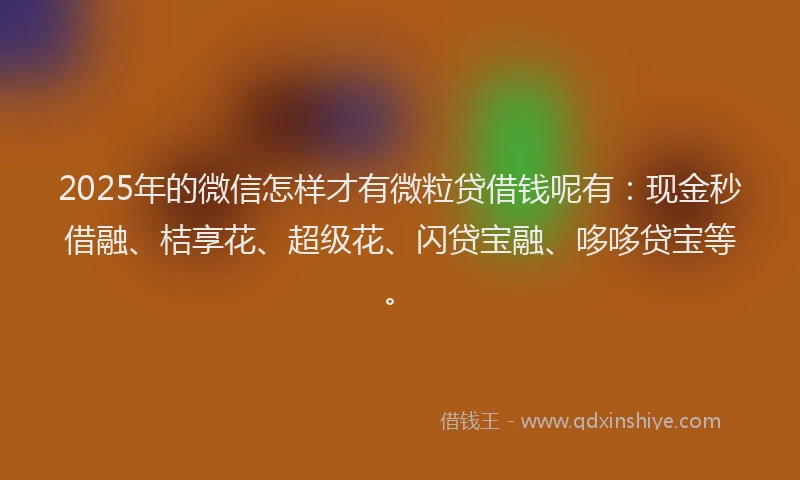 2025年的微信怎样才有微粒贷借钱呢有：现金秒借融、桔享花、超级花、闪贷宝融、哆哆贷宝等。