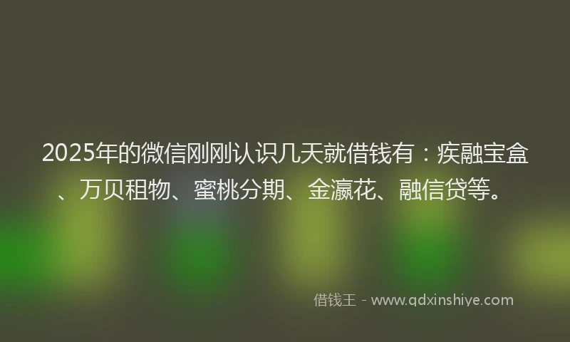 2025年的微信刚刚认识几天就借钱有：疾融宝盒、万贝租物、蜜桃分期、金瀛花、融信贷等。