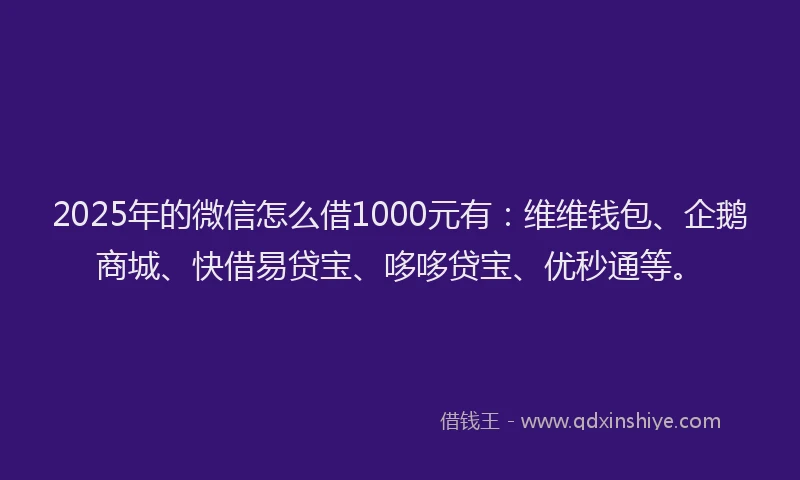 2025年的微信怎么借1000元有：维维钱包、企鹅商城、快借易贷宝、哆哆贷宝、优秒通等。