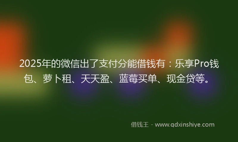 2025年的微信出了支付分能借钱有：乐享Pro钱包、萝卜租、天天盈、蓝莓买单、现金贷等。