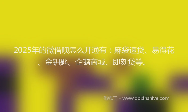 2025年的微借呗怎么开通有：麻袋速贷、易得花、金钥匙、企鹅商城、即刻贷等。