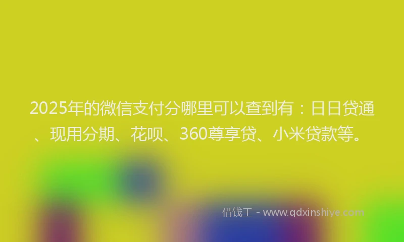 2025年的微信支付分哪里可以查到有：日日贷通、现用分期、花呗、360尊享贷、小米贷款等。