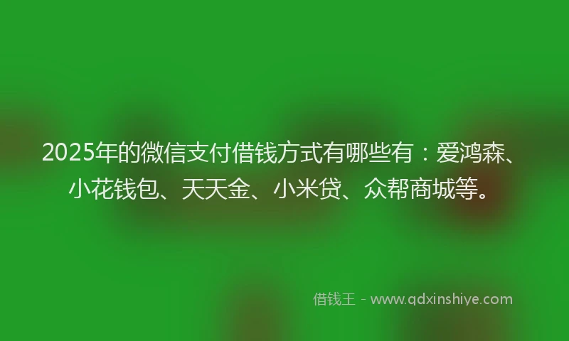 2025年的微信支付借钱方式有哪些有：爱鸿森、小花钱包、天天金、小米贷、众帮商城等。