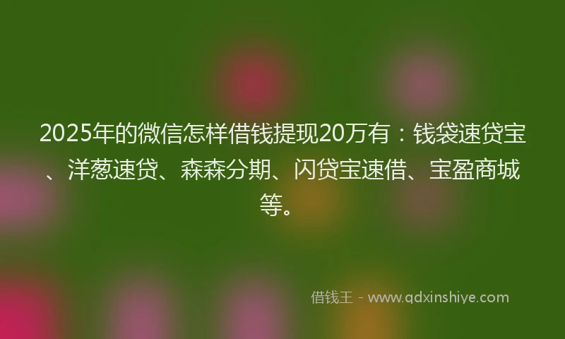 2025年的微信怎样借钱提现20万有：钱袋速贷宝、洋葱速贷、森森分期、闪贷宝速借、宝盈商城等。