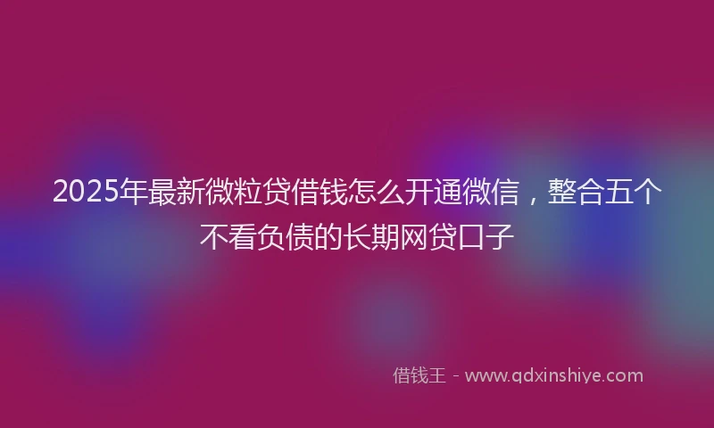 2025年最新微粒贷借钱怎么开通微信，整合五个不看负债的长期网贷口子