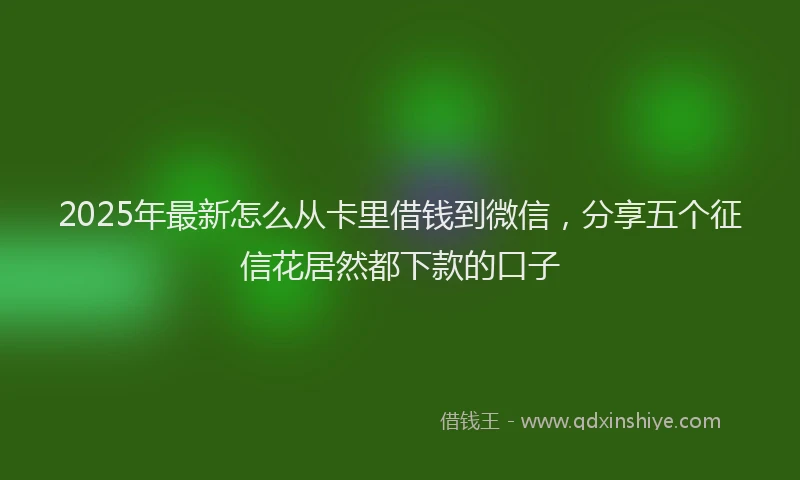 2025年最新怎么从卡里借钱到微信，分享五个征信花居然都下款的口子
