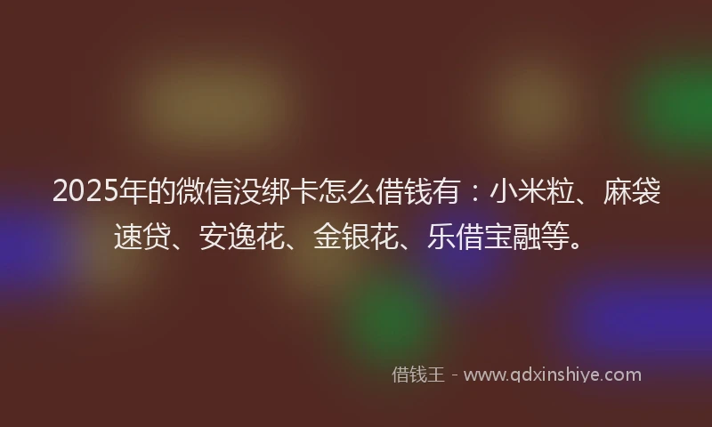 2025年的微信没绑卡怎么借钱有：小米粒、麻袋速贷、安逸花、金银花、乐借宝融等。