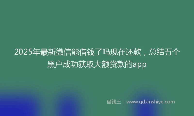 2025年最新微信能借钱了吗现在还款，总结五个黑户成功获取大额贷款的app