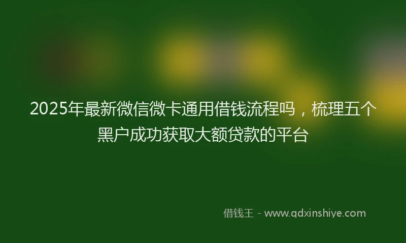2025年最新微信微卡通用借钱流程吗，梳理五个黑户成功获取大额贷款的平台