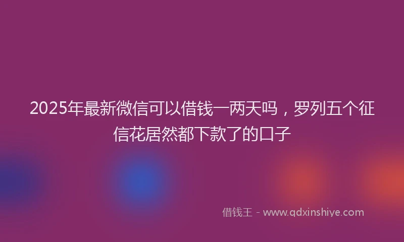 2025年最新微信可以借钱一两天吗，罗列五个征信花居然都下款了的口子