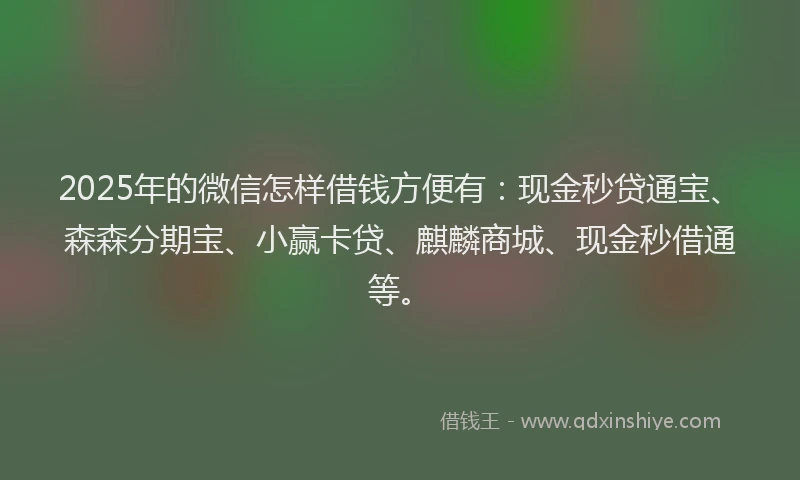 2025年的微信怎样借钱方便有：现金秒贷通宝、森森分期宝、小赢卡贷、麒麟商城、现金秒借通等。