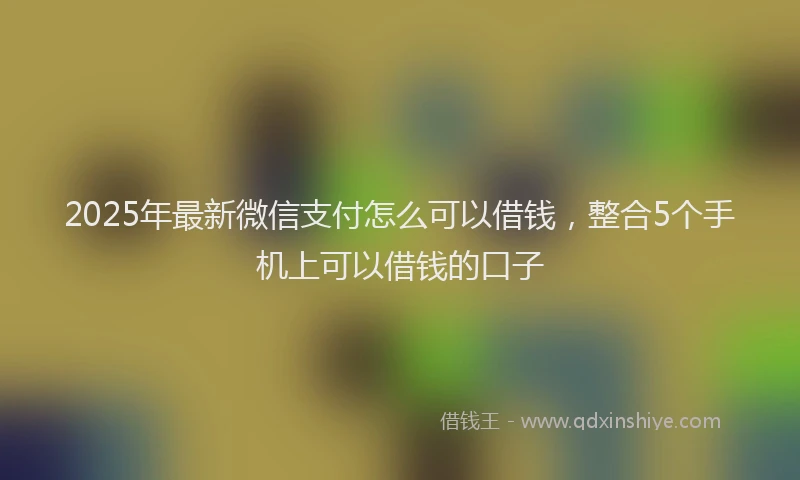 2025年最新微信支付怎么可以借钱，整合5个手机上可以借钱的口子