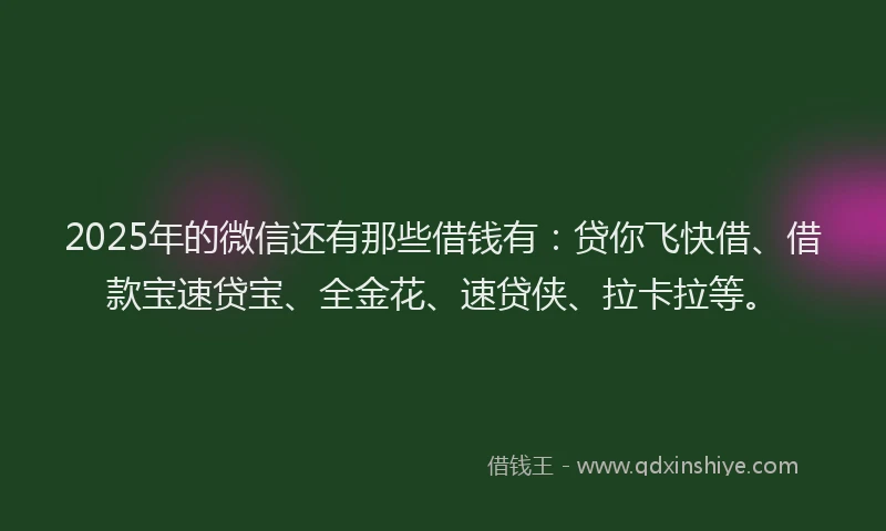 2025年的微信还有那些借钱有：贷你飞快借、借款宝速贷宝、全金花、速贷侠、拉卡拉等。
