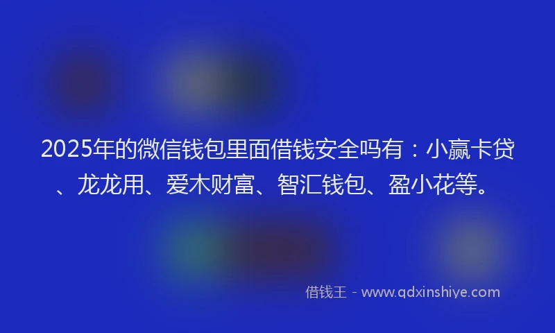 2025年的微信钱包里面借钱安全吗有：小赢卡贷、龙龙用、爱木财富、智汇钱包、盈小花等。