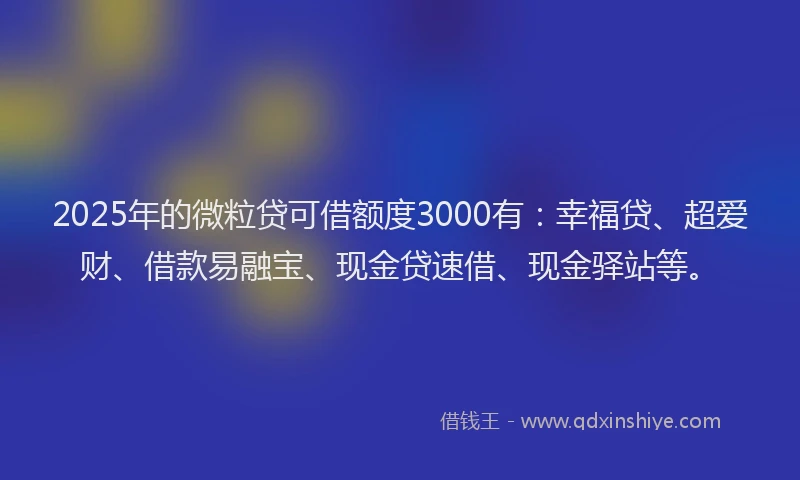 2025年的微粒贷可借额度3000有：幸福贷、超爱财、借款易融宝、现金贷速借、现金驿站等。
