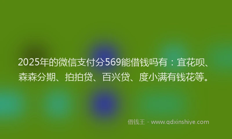 2025年的微信支付分569能借钱吗有：宜花呗、森森分期、拍拍贷、百兴贷、度小满有钱花等。