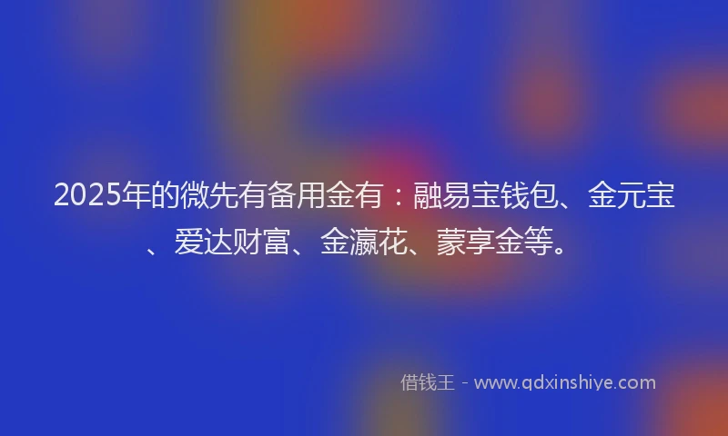 2025年的微先有备用金有：融易宝钱包、金元宝、爱达财富、金瀛花、蒙享金等。