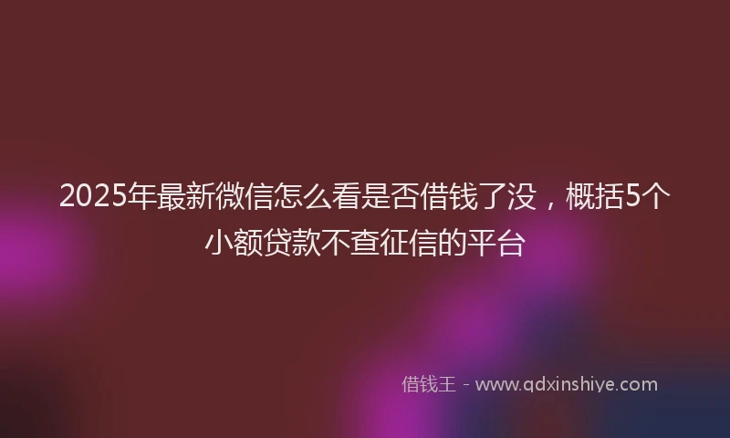 2025年最新微信怎么看是否借钱了没，概括5个小额贷款不查征信的平台