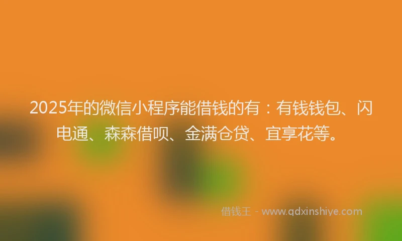 2025年的微信小程序能借钱的有：有钱钱包、闪电通、森森借呗、金满仓贷、宜享花等。