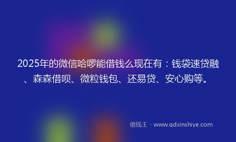 2025年的微信哈啰能借钱么现在有：钱袋速贷融、森森借呗、微粒钱包、还易贷、安心购等。