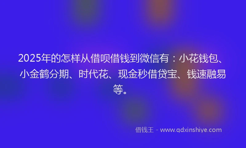 2025年的怎样从借呗借钱到微信有：小花钱包、小金鹤分期、时代花、现金秒借贷宝、钱速融易等。
