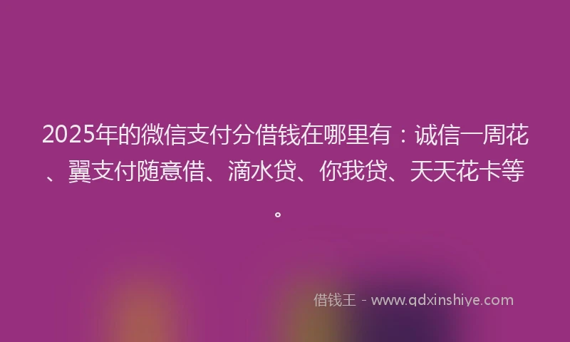 2025年的微信支付分借钱在哪里有：诚信一周花、翼支付随意借、滴水贷、你我贷、天天花卡等。