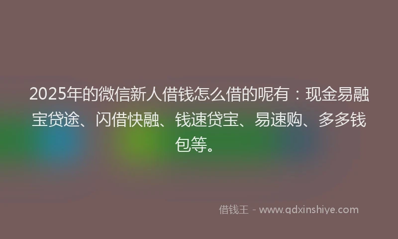 2025年的微信新人借钱怎么借的呢有：现金易融宝贷途、闪借快融、钱速贷宝、易速购、多多钱包等。