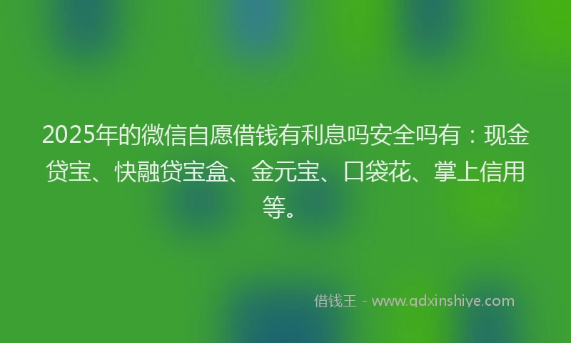 2025年的微信自愿借钱有利息吗安全吗有：现金贷宝、快融贷宝盒、金元宝、口袋花、掌上信用等。