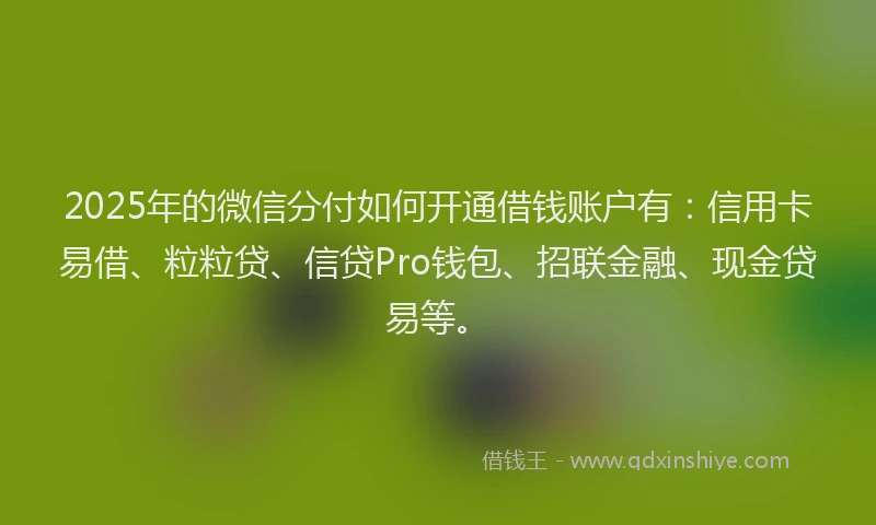 2025年的微信分付如何开通借钱账户有：信用卡易借、粒粒贷、信贷Pro钱包、招联金融、现金贷易等。