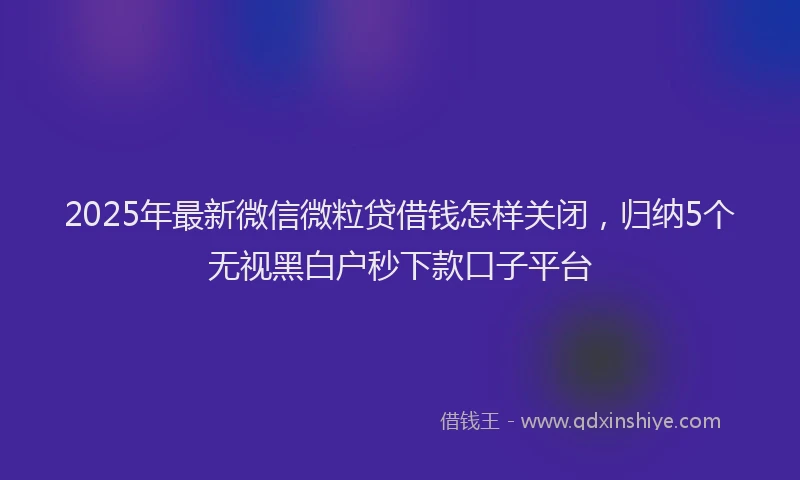 2025年最新微信微粒贷借钱怎样关闭，归纳5个无视黑白户秒下款口子平台