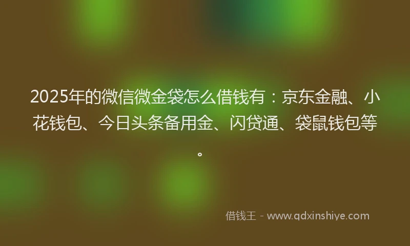 2025年的微信微金袋怎么借钱有：京东金融、小花钱包、今日头条备用金、闪贷通、袋鼠钱包等。