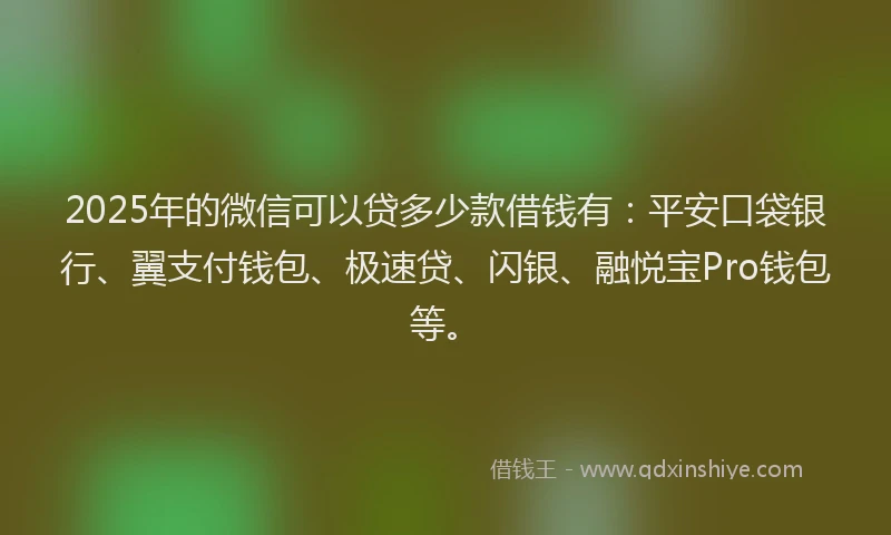 2025年的微信可以贷多少款借钱有：平安口袋银行、翼支付钱包、极速贷、闪银、融悦宝Pro钱包等。