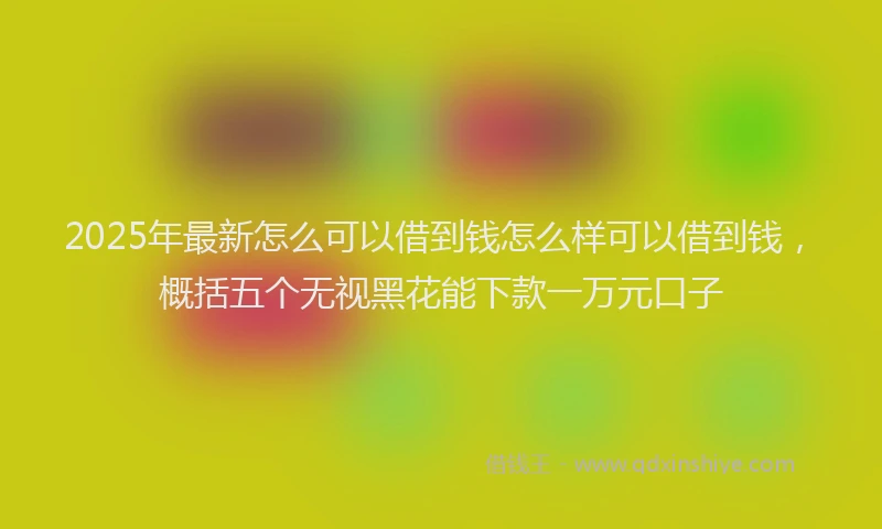 2025年最新怎么可以借到钱怎么样可以借到钱，概括五个无视黑花能下款一万元口子