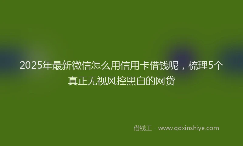 2025年最新微信怎么用信用卡借钱呢，梳理5个真正无视风控黑白的网贷