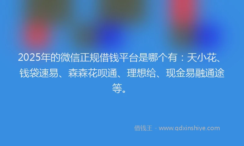 2025年的微信正规借钱平台是哪个有：天小花、钱袋速易、森森花呗通、理想给、现金易融通途等。