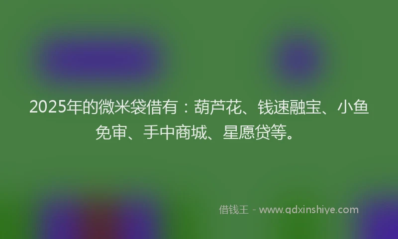 2025年的微米袋借有：葫芦花、钱速融宝、小鱼免审、手中商城、星愿贷等。