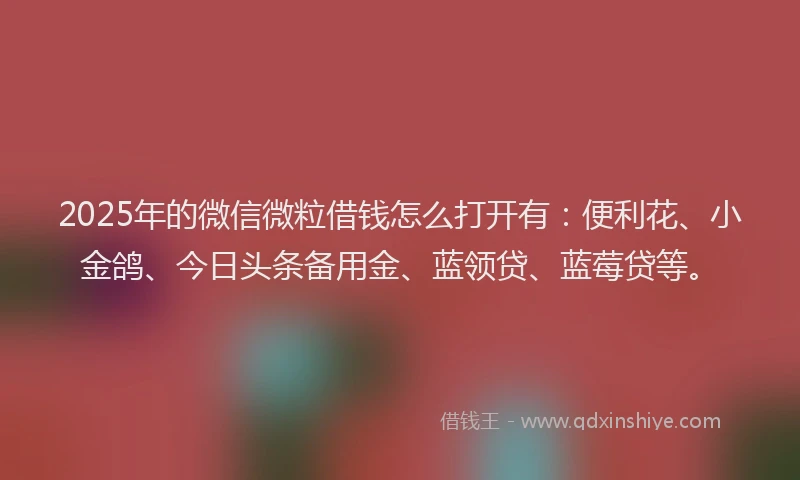 2025年的微信微粒借钱怎么打开有：便利花、小金鸽、今日头条备用金、蓝领贷、蓝莓贷等。