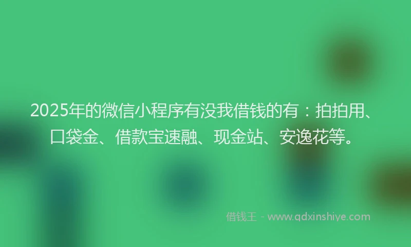 2025年的微信小程序有没我借钱的有：拍拍用、口袋金、借款宝速融、现金站、安逸花等。