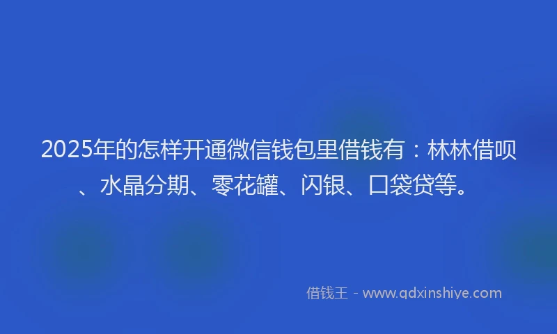 2025年的怎样开通微信钱包里借钱有：林林借呗、水晶分期、零花罐、闪银、口袋贷等。