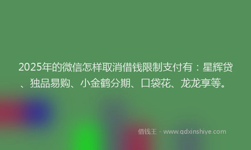 2025年的微信怎样取消借钱限制支付有：星辉贷、独品易购、小金鹤分期、口袋花、龙龙享等。
