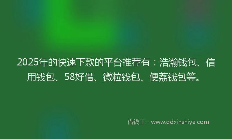 2025年的快速下款的平台推荐有：浩瀚钱包、信用钱包、58好借、微粒钱包、便荔钱包等。