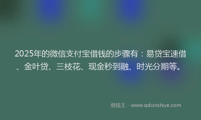 2025年的微信支付宝借钱的步骤有：易贷宝速借、金叶贷、三枝花、现金秒到融、时光分期等。